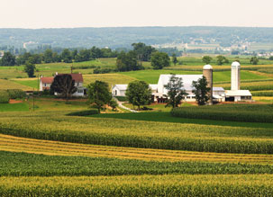 farm crops amish organic